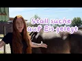 Download Lagu Stall suche auf Eis gelegt|😳einiges hat sich hier geändert #jezaanni 