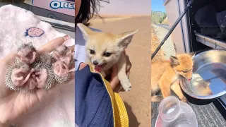 Act of kindness #animals #love #lovestory #rescue #wildlife #wildanimals #pets #funny #cute