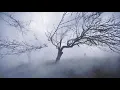 Koresma - Canyon Walls (Andrew Rothschild Remix)