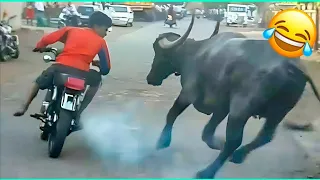 funny videos compilation pranks amazing stunts by mr vava 36