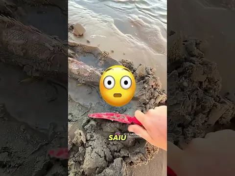 O Monstro Marinho Escondido na Areia 😱🌊
