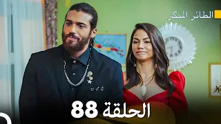 مسلسل الطائر المبكر الحلقة 88 Arabic Dubbed FULL HD 