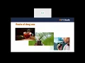 Spice Spice Baby Synthetic Cannabinoids