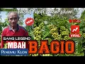 Download Lagu INI DIA PENEMU KOPI  KLON BAGIO YANG VIRAL