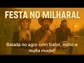 Download Lagu Festa no Milharal – O Sertanejo Universitário do Agro! 🔥 Sertanejo e Moda 🎸🎵