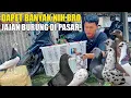 Download Lagu BELANJA BURUNG MERPATI DI PASAR DAPET BANYAK BANGET NIH 