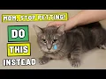 Download Lagu 7 dingen die je kat meteen blij maken - maar de meeste negeren ze - Arron