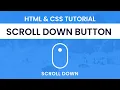 Scroll Down Button HTML CSS Tutorial With Source Code