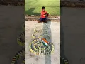 Download Lagu Deva shree ganesh ji 💥✅#love #song #trending #funny #shorts #viralvideo #youtubeshorts