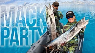 What we do with all our fish!? Back in the groove of Boatlife (Sailing Popao) Ep.69