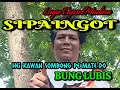 Download Lagu Hei kawan Sombong pe mate do. SIPAINGOT Bung Lubis sang penyanyi Legenda mnadailing