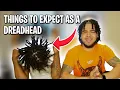 8 THINGS TO EXPECT AS A DREADHEAD ALL DREADHEADS GO THROUGH THIS