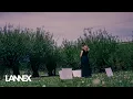 Lannex - S kthehna
