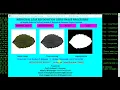Medicinal Leaf Recognition Using Image Processing Python Project With Source Code