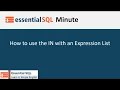 How to use the IN with an Expression List Essential SQL