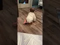 Makoa asymmetrical crawling 10 months