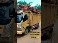 Download Lagu KENCANGKAN SABUK PENGAMAN #youtubeshorts #coltdiesel #mitsubishi #trucksawit #canter #vidioshort