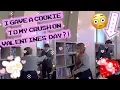 Download Lagu Valentines Day at My Japanese High School! (JAPAN EXCHANGE)