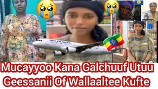 Uuff Erga Hunduu Dhumeefii Ammas Of Wallaaltee Kuftee Hospital Galte Haadha Ishee Nama Gaddisiisu 