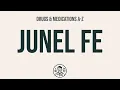 How to use Junel Fe - Explain Uses Side Effects Interactions