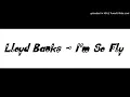 Lloyd Banks - Im So Fly