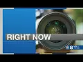 Pollen affecting Tampa Bay residents