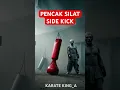 Download Lagu PENCAK SILAT SIDE KICK🥷🤺#ytshorts #shortsvideo #trending #trendingshorts #india