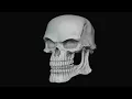 spinning skull with guitar riff at the end