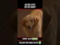 Download Lagu Did you know THIS about AIR BUD (1997)?