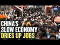 Download Lagu China's Sluggish Economy: 1 in 5 Youth Jobless in China