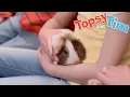 Download Lagu Topsy \u0026 Tim 110 - PET SITTER | Full Episodes | Shows for Kids | HD