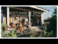Download Lagu BERTUMBUH BERSAMA LIVE FROM TAMAN BERMAIN NOSSTRESS