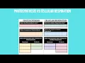 Photosynthesis vs Cellular Respiration Graphic Organizer