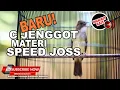 Download Lagu #1 🔴Materi Sadis Cucak Jenggot Gacor Full Speed Rapat Tajam❗️AUDIO JERNIH