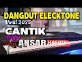 Download Lagu LAGU DANGDUT ELECKTONE VIRAL 2025/CANTIK ARAFIQ/ COVER BY ANSAR