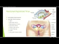 Download Lagu Klas 2 3 H V Thema 4 Voortplanting \u0026 Seksualiteit Basisstof 2