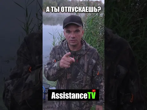 🦈Дилема или вечный выбор 🦈 #рыбалка #фидер #AssistanceTV #fishing#рыбалкалетом #карась #лещ  #плотва