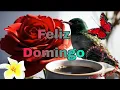 BUEN DIA FELIZ DOMINGO