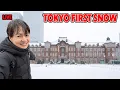 Lagu First Snow in Tokyo 2026! Tokyo Station, Ginza, Tsukiji, Akihabara, and Ueno.