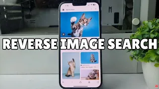 How to Reverse Image Search on iPhone