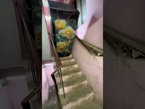 WIFE ❌ ANGRY BIRD 😡 - #shorts #trending #viral #youtube