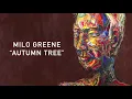 Autumn Tree - Milo Greene