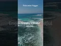 Coloring Calm Unveiling the Relaxation Nugget of Mindful Artistry