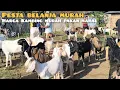 Download Lagu Situasi pasar kambing Sukanegara 