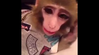 احلى سعدانه 