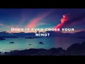 The Paper Kites - Does It Ever Cross Your Mind? (Lyrics)