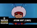 Theme Song with Lyrics | Atom Ant | Warner Archive