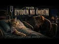 Tekir – Uyudun mu Ömrüm? | 70'ler 80'ler Psychedelic Anadolu Rock Cover
