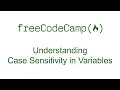 Understanding Case Sensitivity in Variables - Free Code Camp