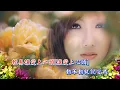 動不動就說愛我~芝麻與龍眼的經典民歌(最新懷念版)
